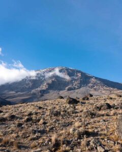 Kilimanjaro 1