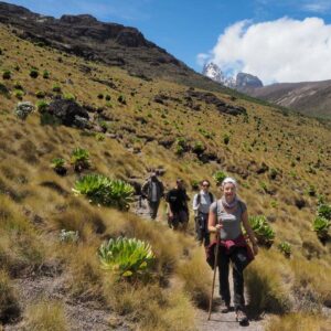 Mount Kenya 1