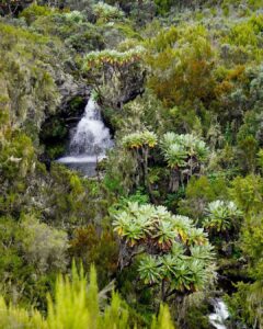 Mount Kenya 4