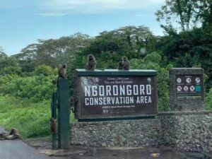 Ngorongoro 4