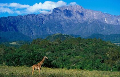 Arusha National Park 1