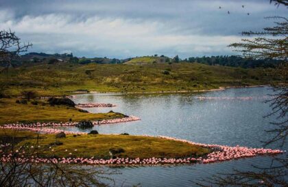 arusha momela lakes