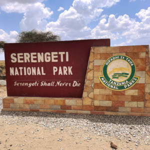 Serengeti (2)