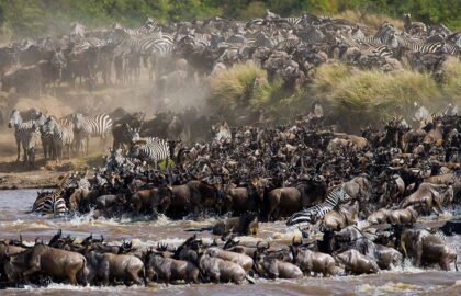 great migration 1