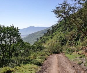 ngorongoro (5)