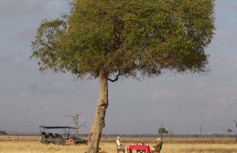 8 Days Southern Tanzania Safari by Road