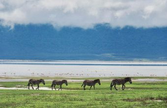 Ngorongoro Conservation Area