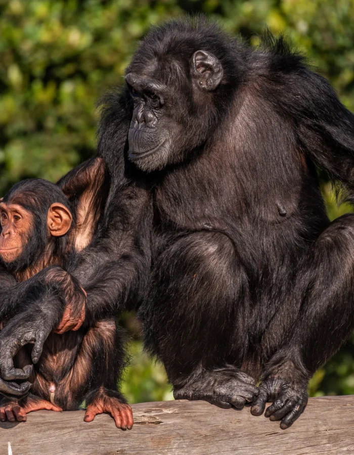 Ol Pejeta Conservancy 2