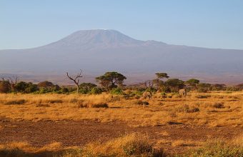 6-Day Kenya Safari Itinerary: Tsavo West & Amboseli National Parks