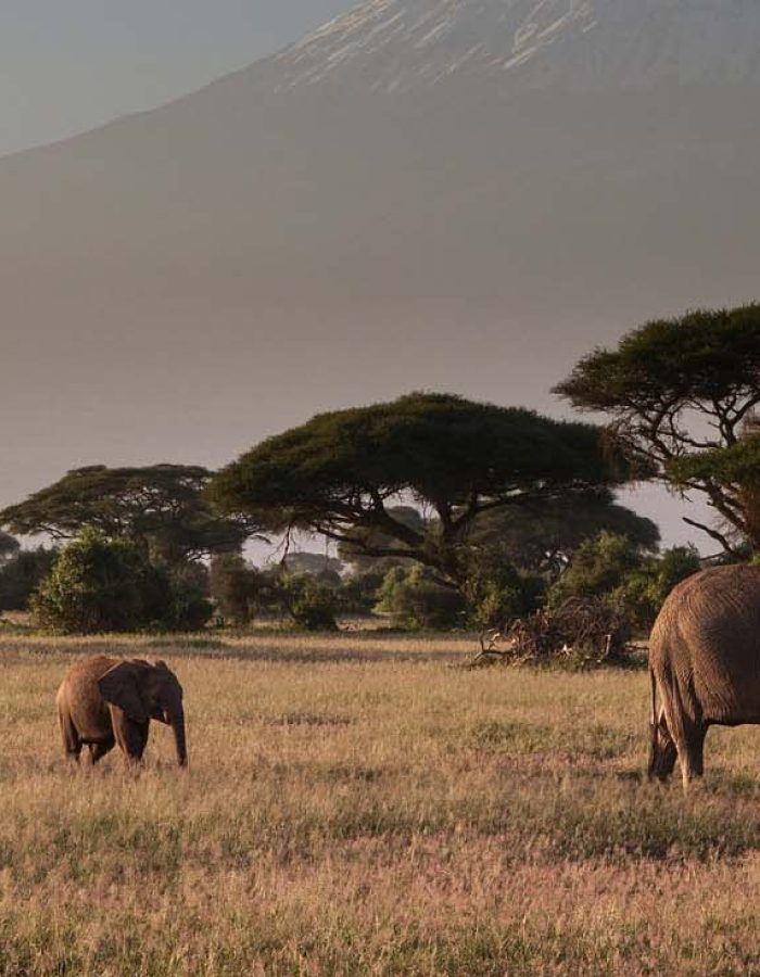 amboseli
