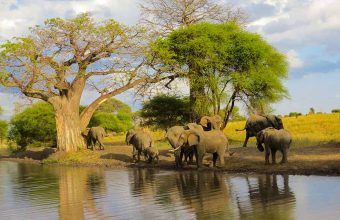 Tarangire National Park