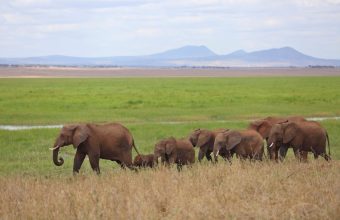 Tarangire National Park